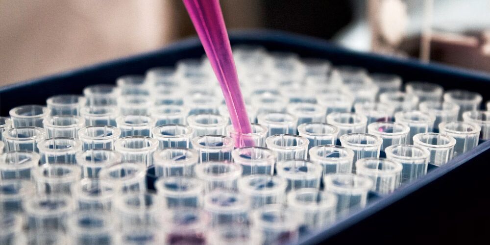 IT Support for the Pharmaceutical Sector